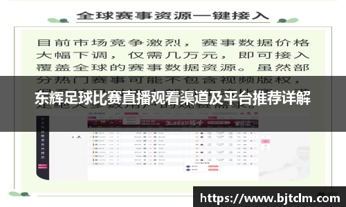 东辉足球比赛直播观看渠道及平台推荐详解